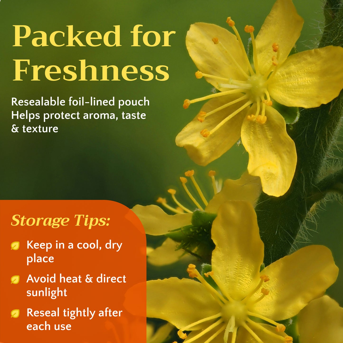 Agrimony Herb | Loose Leaf Herbal Tea | Agrimonia Eupatoria
