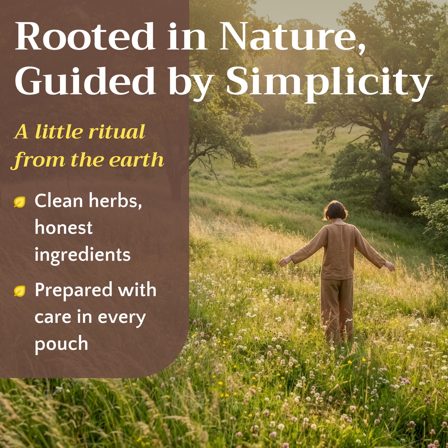 Dandelion Root Tea | Roasted Herbal Coffee Alternative | Taraxacum officinale