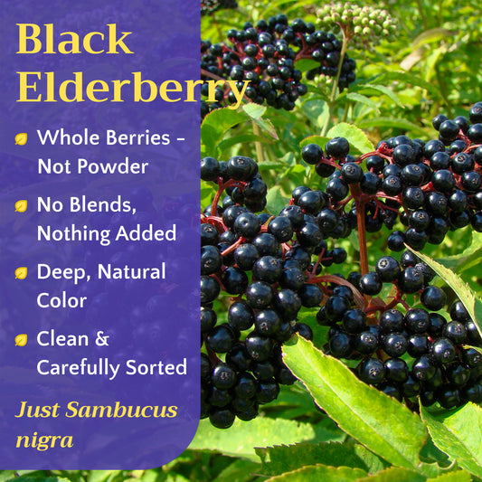 Elderberry Tea | Dried Elderberries | Sambucus nigra