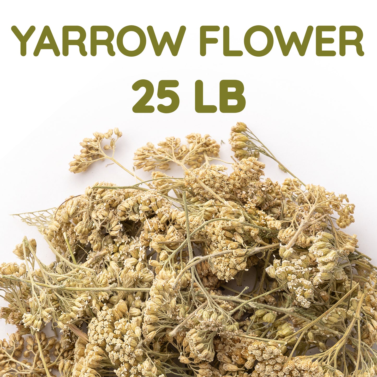 Yarrow Flower Tea | Loose Leaf Herbal Tea | Achillea millefolium Bulk