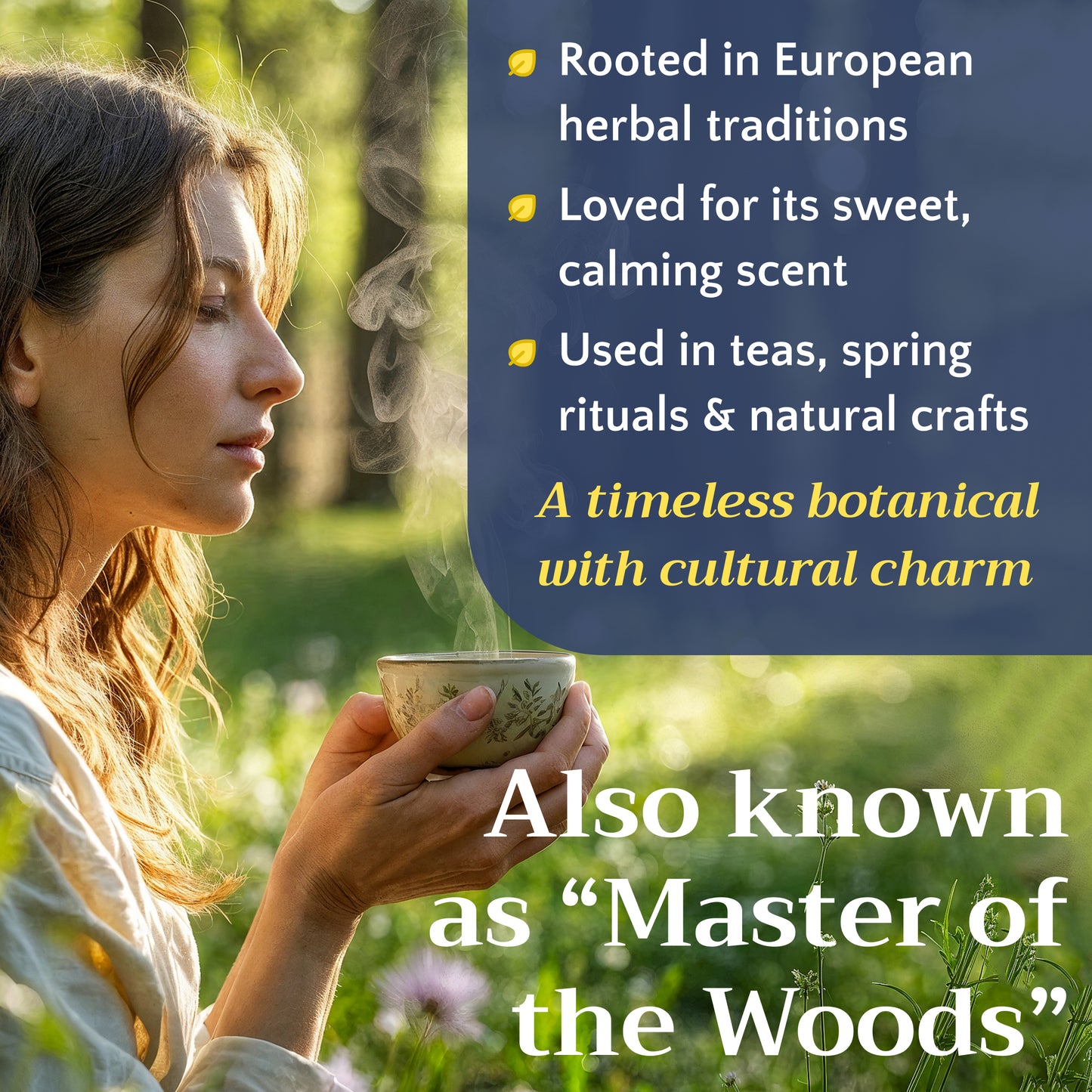 Sweet Woodruff Tea | Loose Leaf Herbal Tea | Galium odoratum