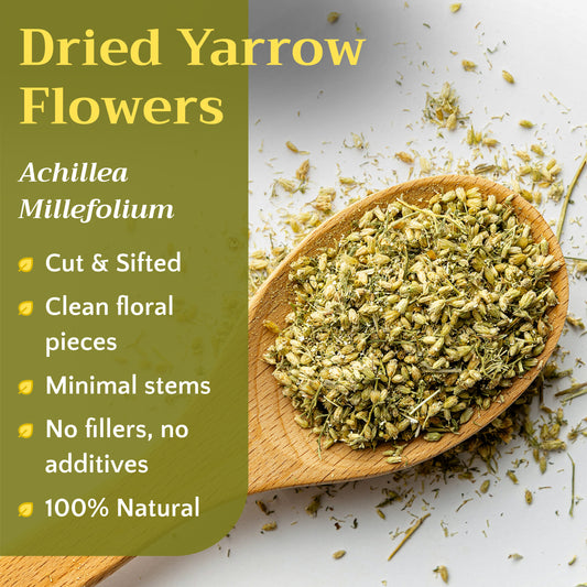 Yarrow Flower Tea | Loose Leaf Herbal Tea | Achillea millefolium