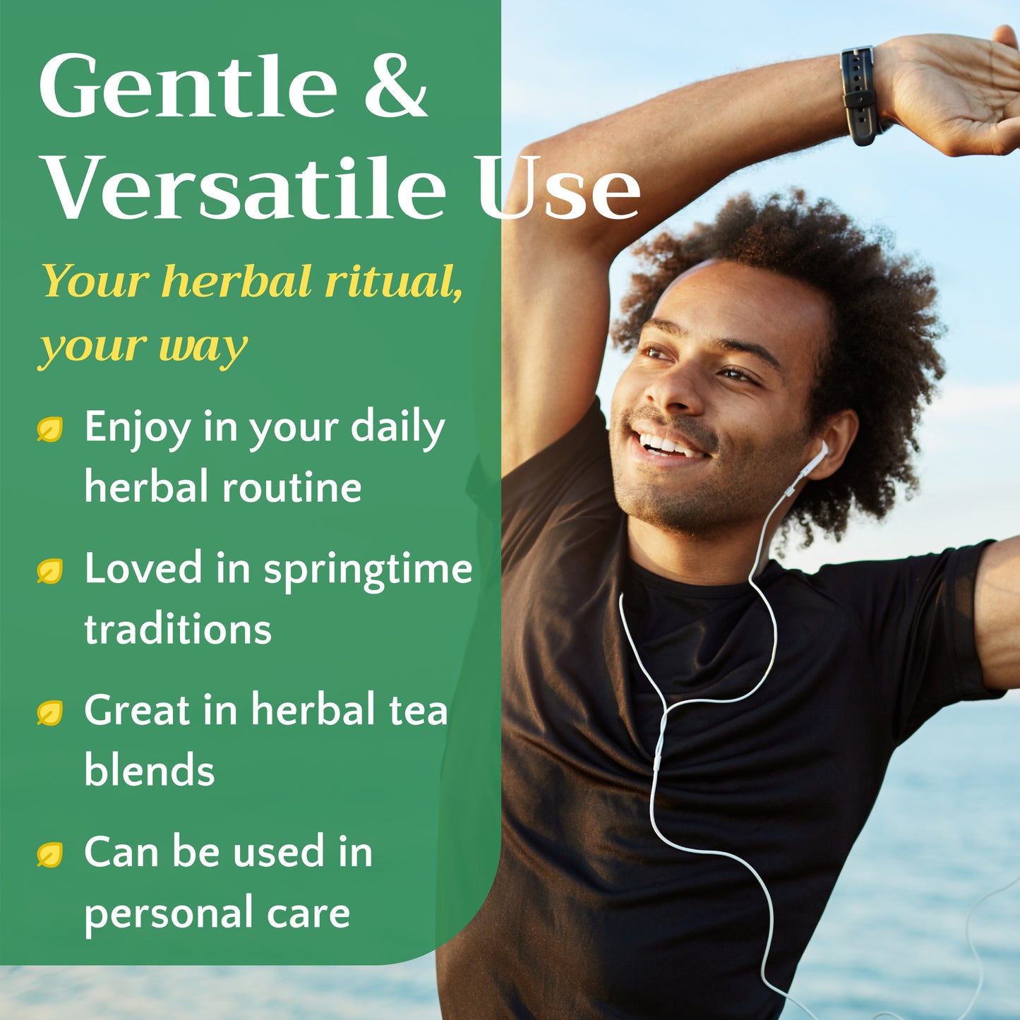 Cleavers Tea | Loose Leaf Herbal Tea | Galium aparine