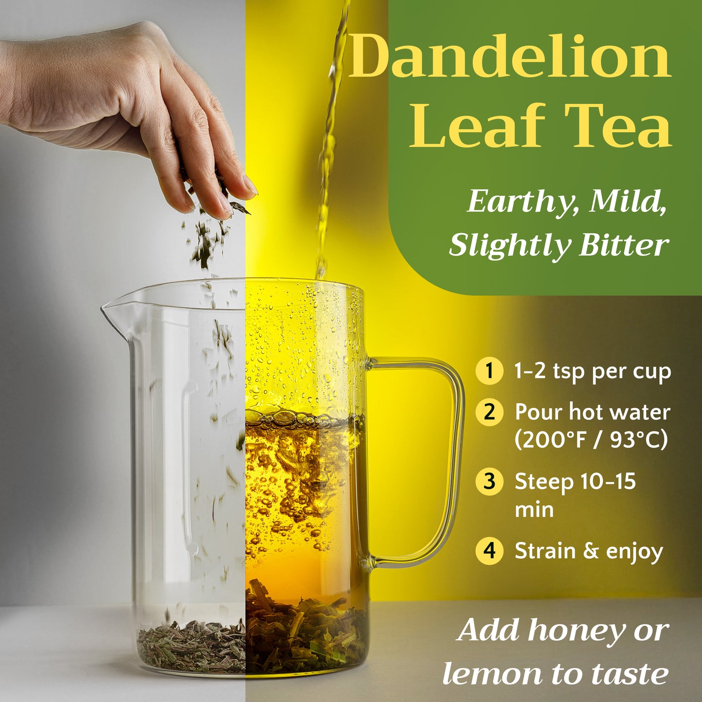Dandelion Leaf Tea | Loose Leaf Herbal Tea | Taraxacum officinale