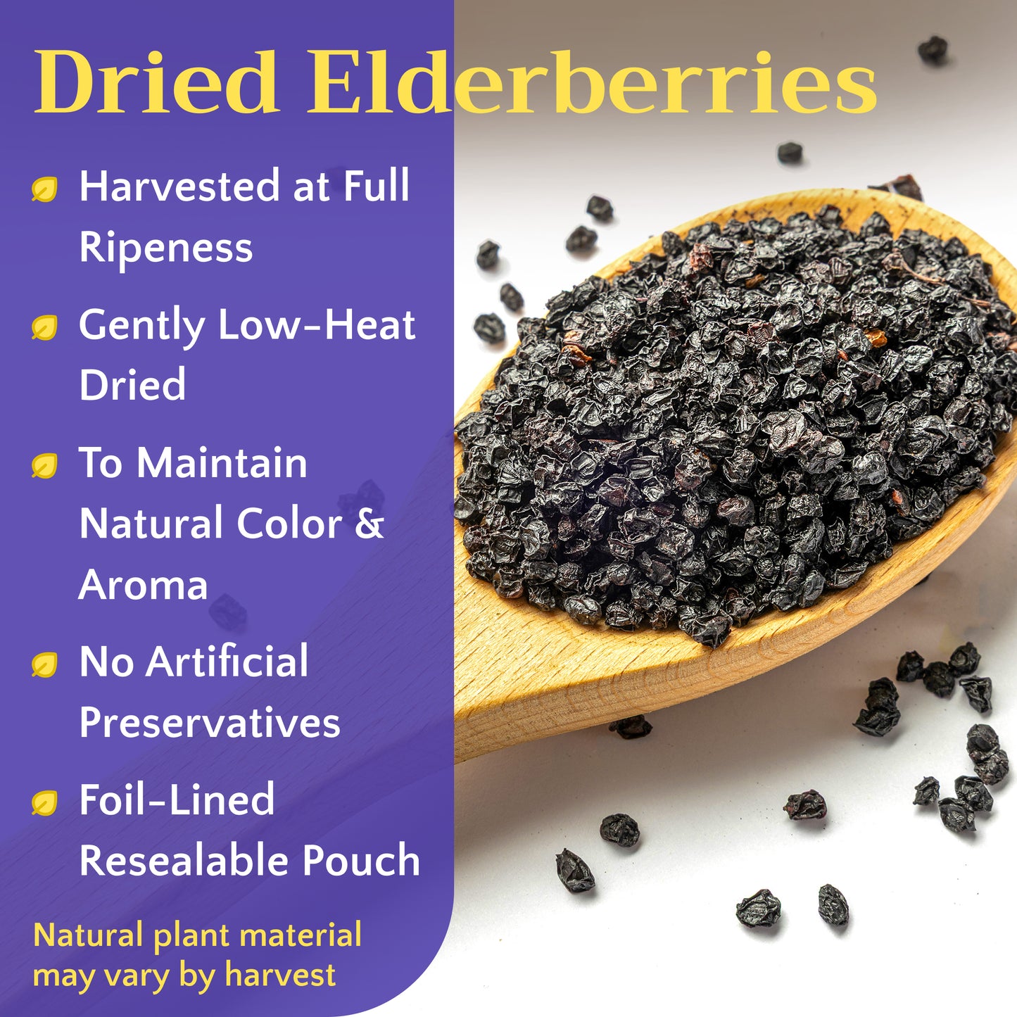 Elderberry Tea | Dried Elderberries | Sambucus nigra