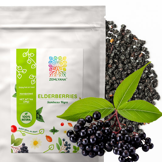 Elderberry Tea | Dried Elderberries | Sambucus nigra