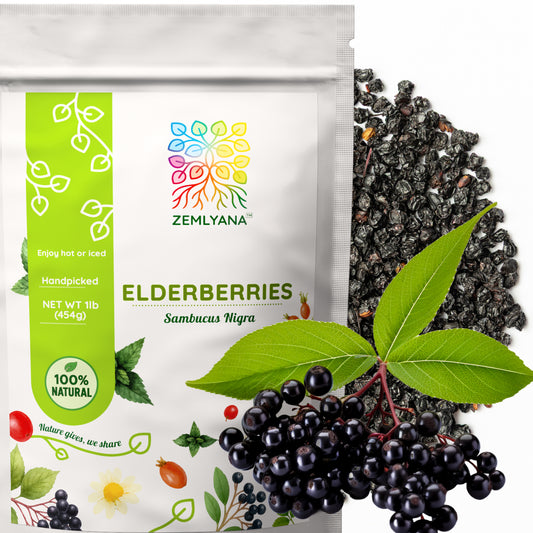 Elderberry Tea | Dried Elderberries | Sambucus nigra
