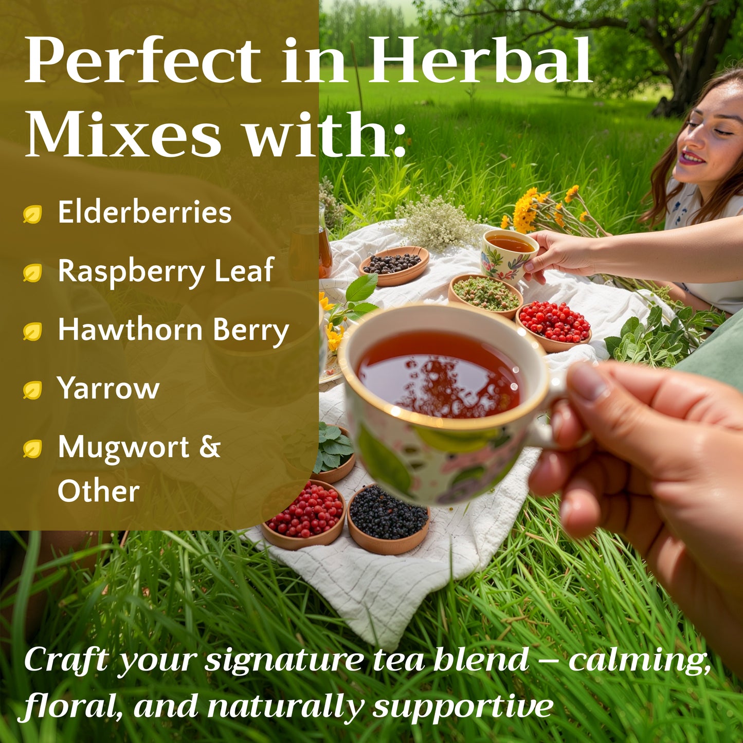 Elderflower Tea | Loose Leaf Herbal Tea | Dried Elder Flowers