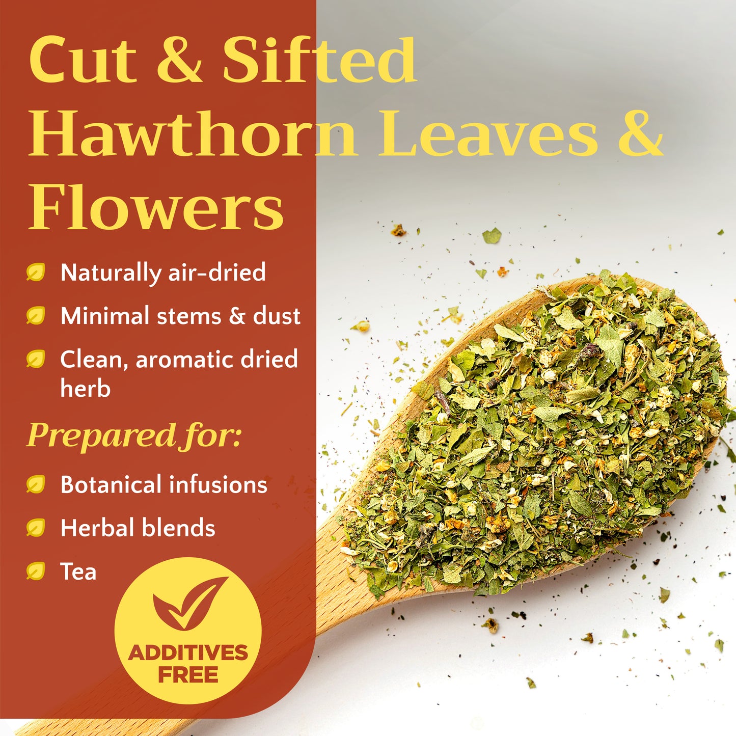 Hawthorn Tea | Leaf and Flower | Crataegus monogyna