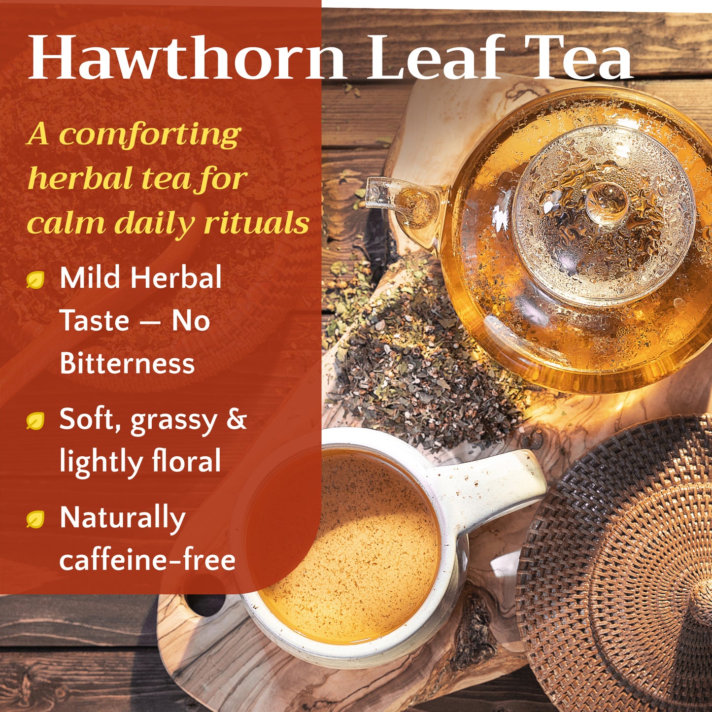 Hawthorn Tea | Leaf and Flower | Crataegus monogyna