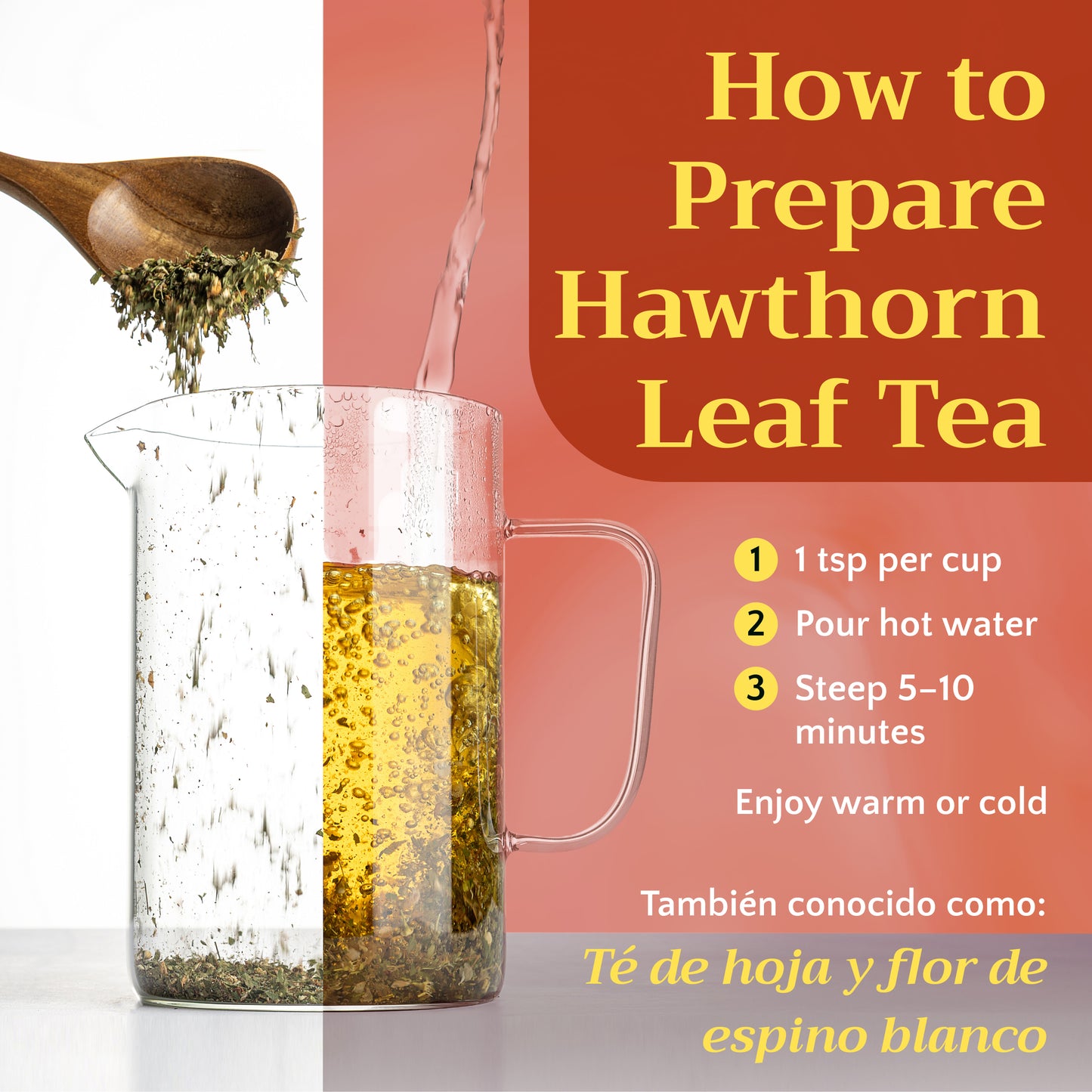 Hawthorn Tea | Leaf and Flower | Crataegus monogyna