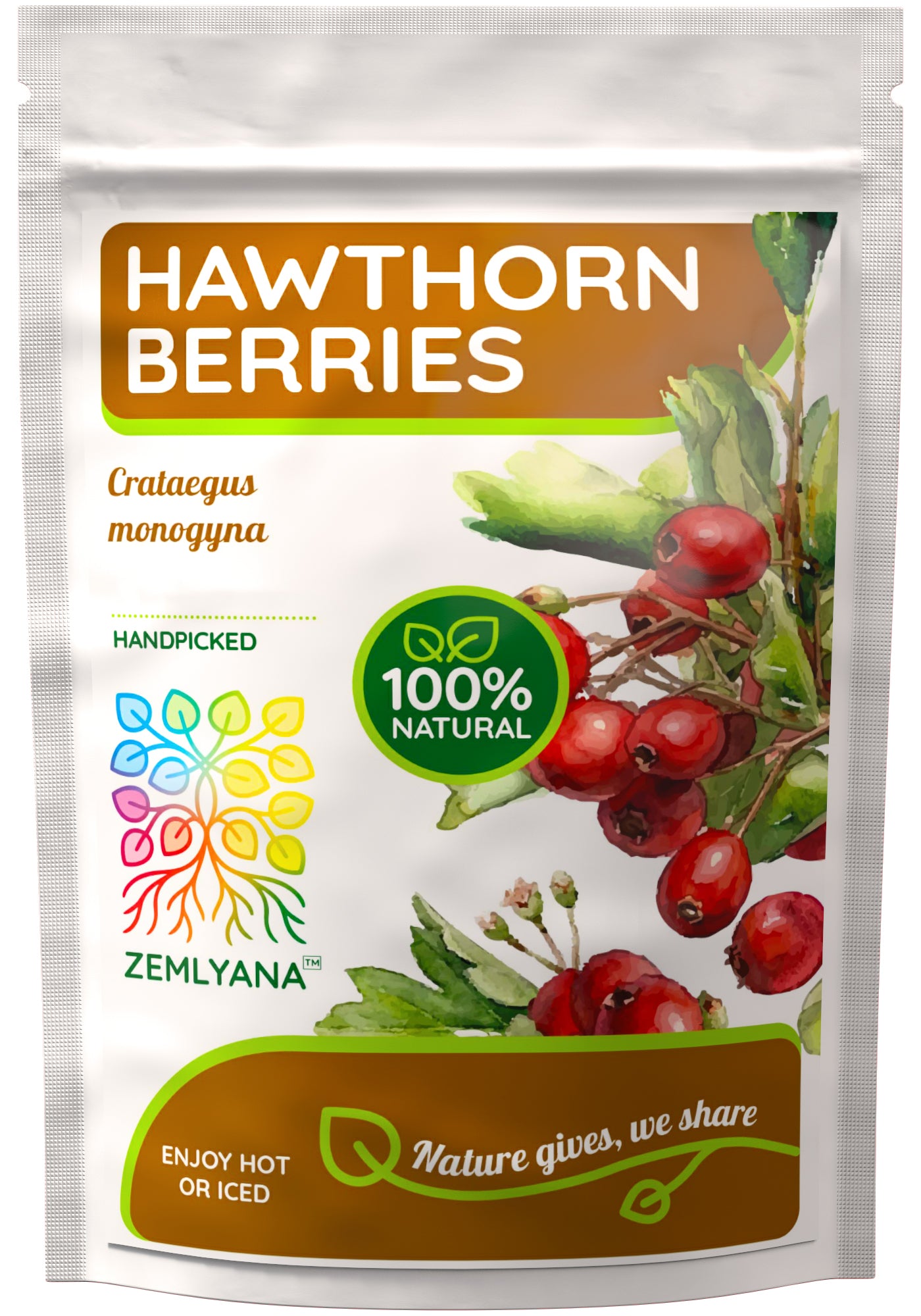 Hawthorn Berries | Dried Whole Berries | Crataegus Monogyna