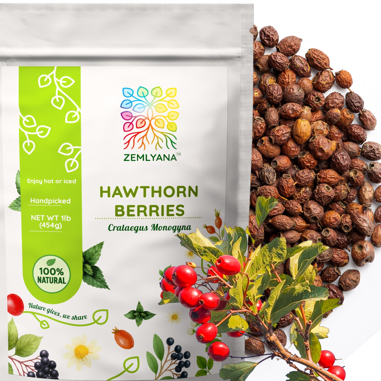 Hawthorn Berries | Dried Whole Berries | Crataegus Monogyna