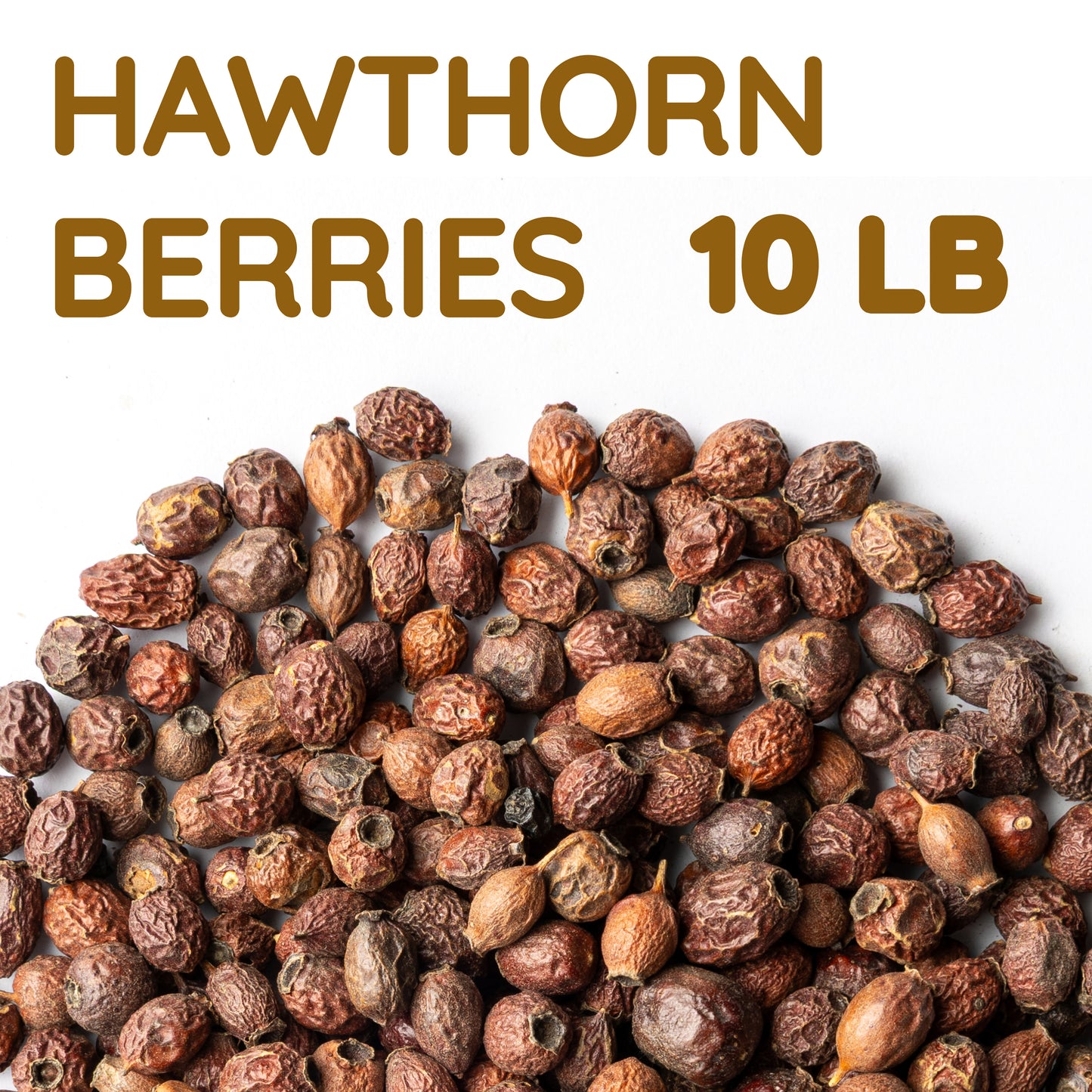 Hawthorn Berries | Dried Whole Berries | Crataegus Monogyna Bulk