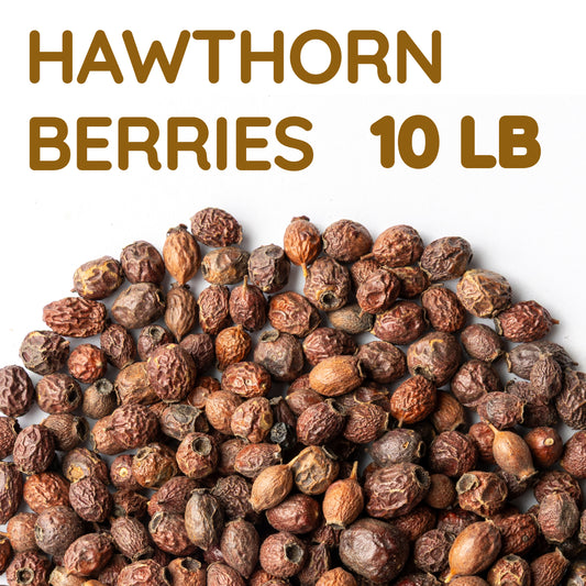 Hawthorn Berries | Dried Whole Berries | Crataegus Monogyna Bulk