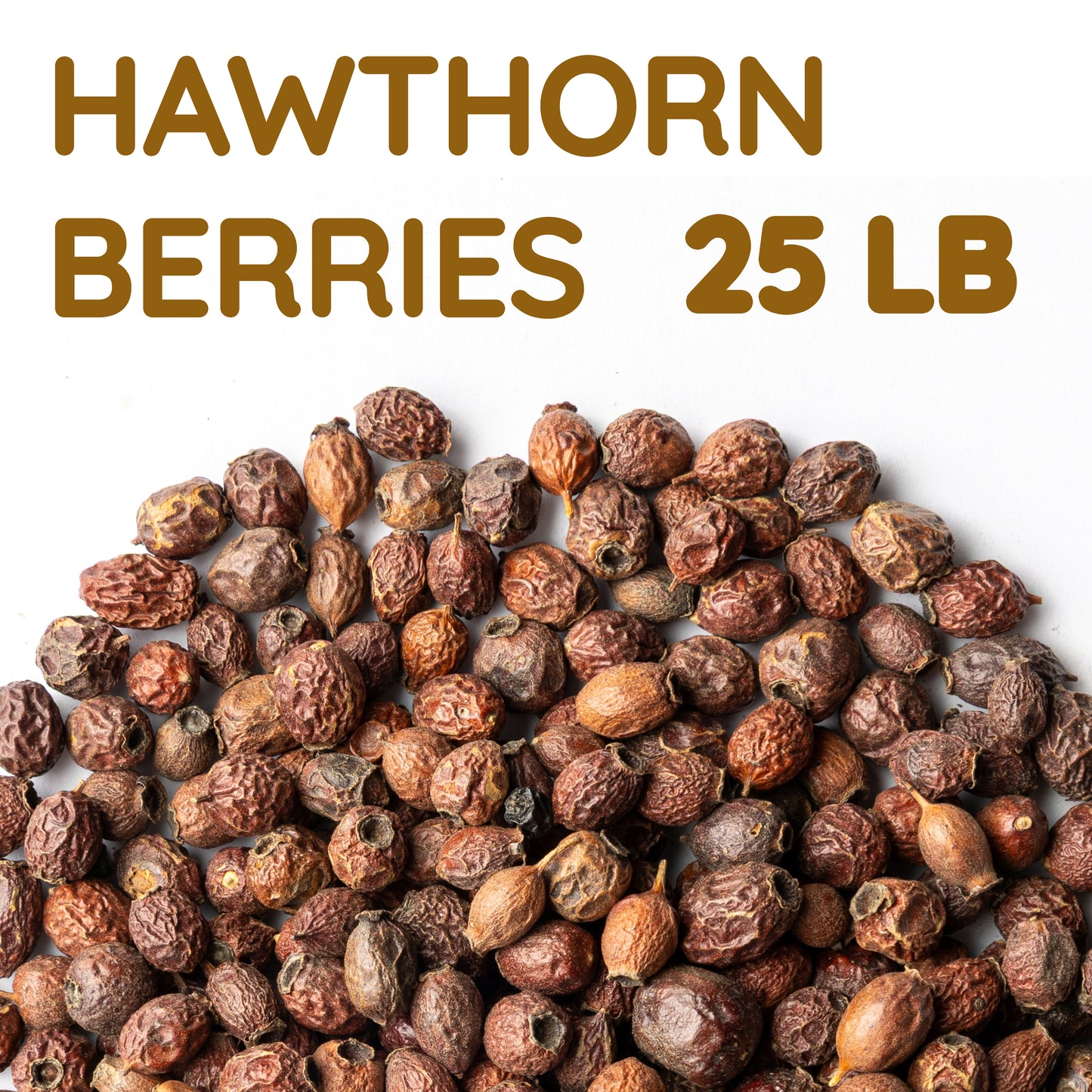 Hawthorn Berries | Dried Whole Berries | Crataegus Monogyna Bulk