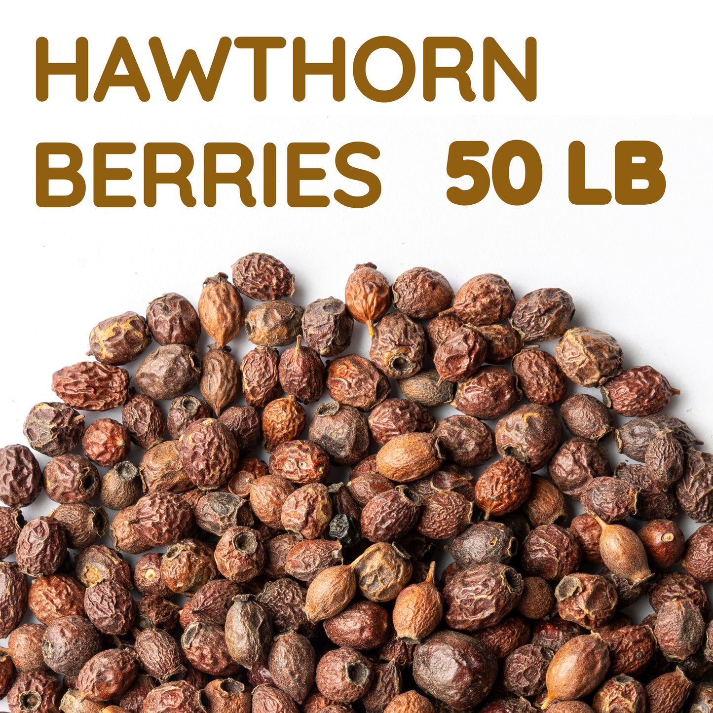 Hawthorn Berries | Dried Whole Berries | Crataegus Monogyna Bulk