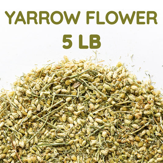 Yarrow Flower Tea | Loose Leaf Herbal Tea | Achillea millefolium Bulk