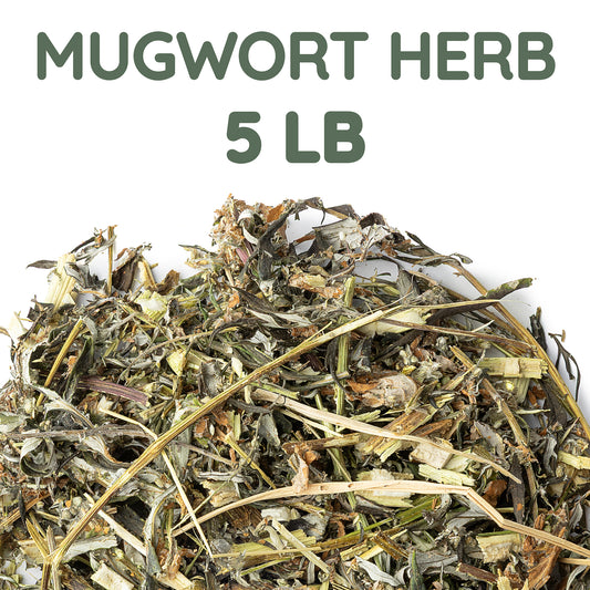 Mugwort Herb Tea | Loose Leaf Herbal Tea | Artemisia vulgaris Bulk