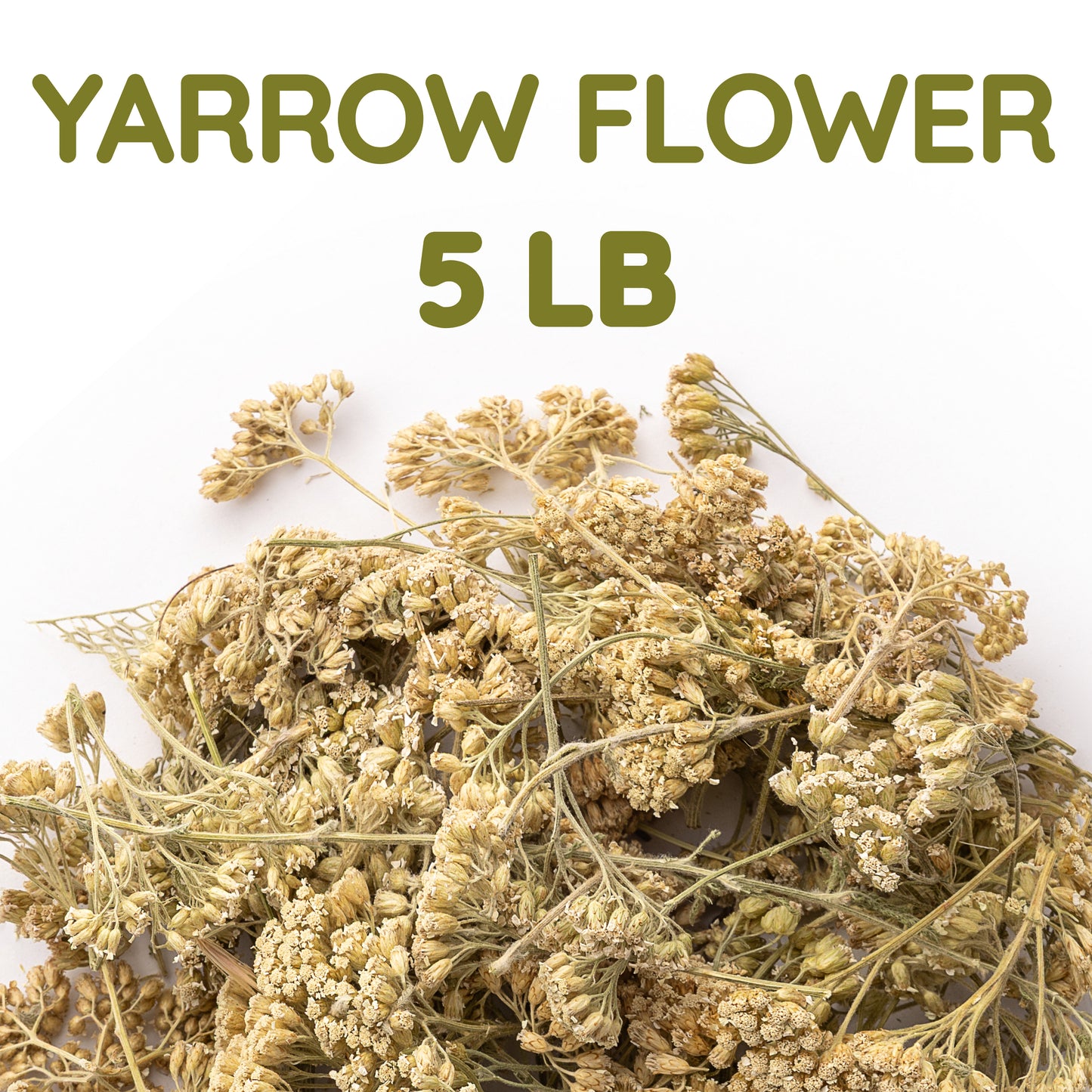 Yarrow Flower Tea | Loose Leaf Herbal Tea | Achillea millefolium Bulk