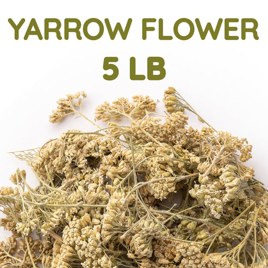 Yarrow Flower Tea | Loose Leaf Herbal Tea | Achillea millefolium Bulk
