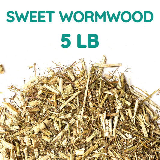 Sweet Wormwood Tea | Loose Leaf Herbal Tea | Artemisia annua Bulk