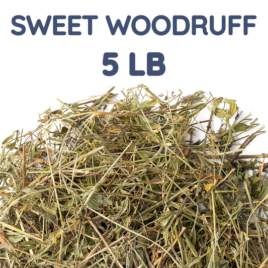 Sweet Woodruff Tea | Loose Leaf Herbal Tea | Galium odoratum Bulk