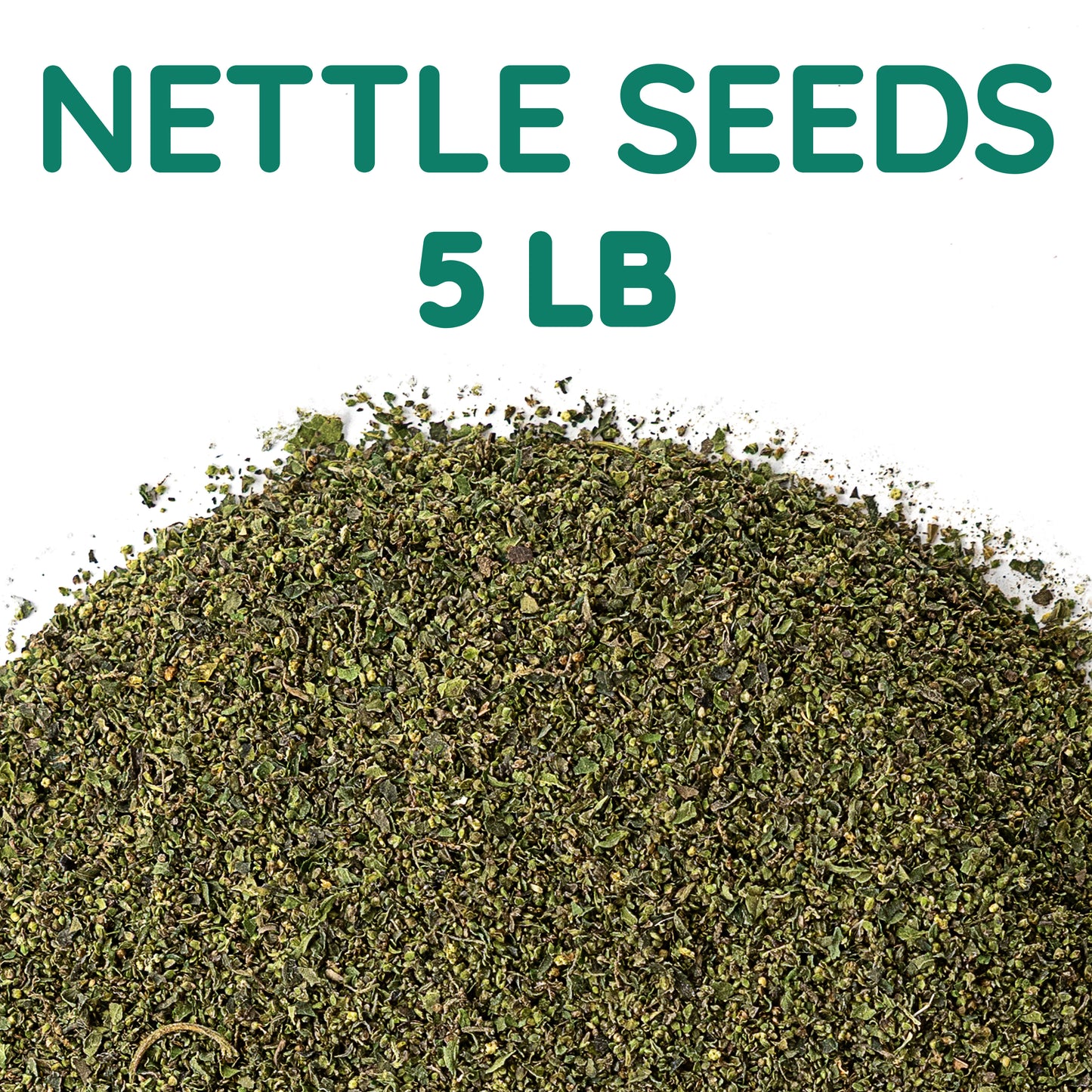 Stinging Nettle Seeds | Wild-Harvested Herbal Seeds | Urtica dioica Bulk