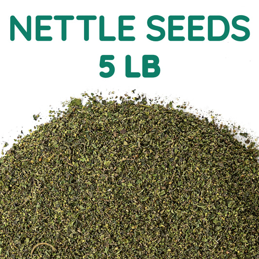 Stinging Nettle Seeds | Wild-Harvested Herbal Seeds | Urtica dioica Bulk