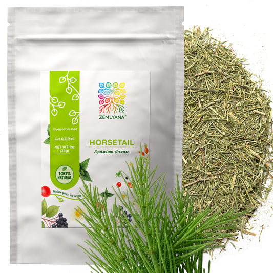 Horsetail Tea | Loose Leaf Herbal Tea | Equisetum arvense