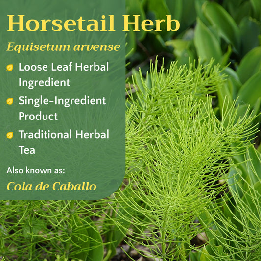 Horsetail Tea | Loose Leaf Herbal Tea | Equisetum arvense