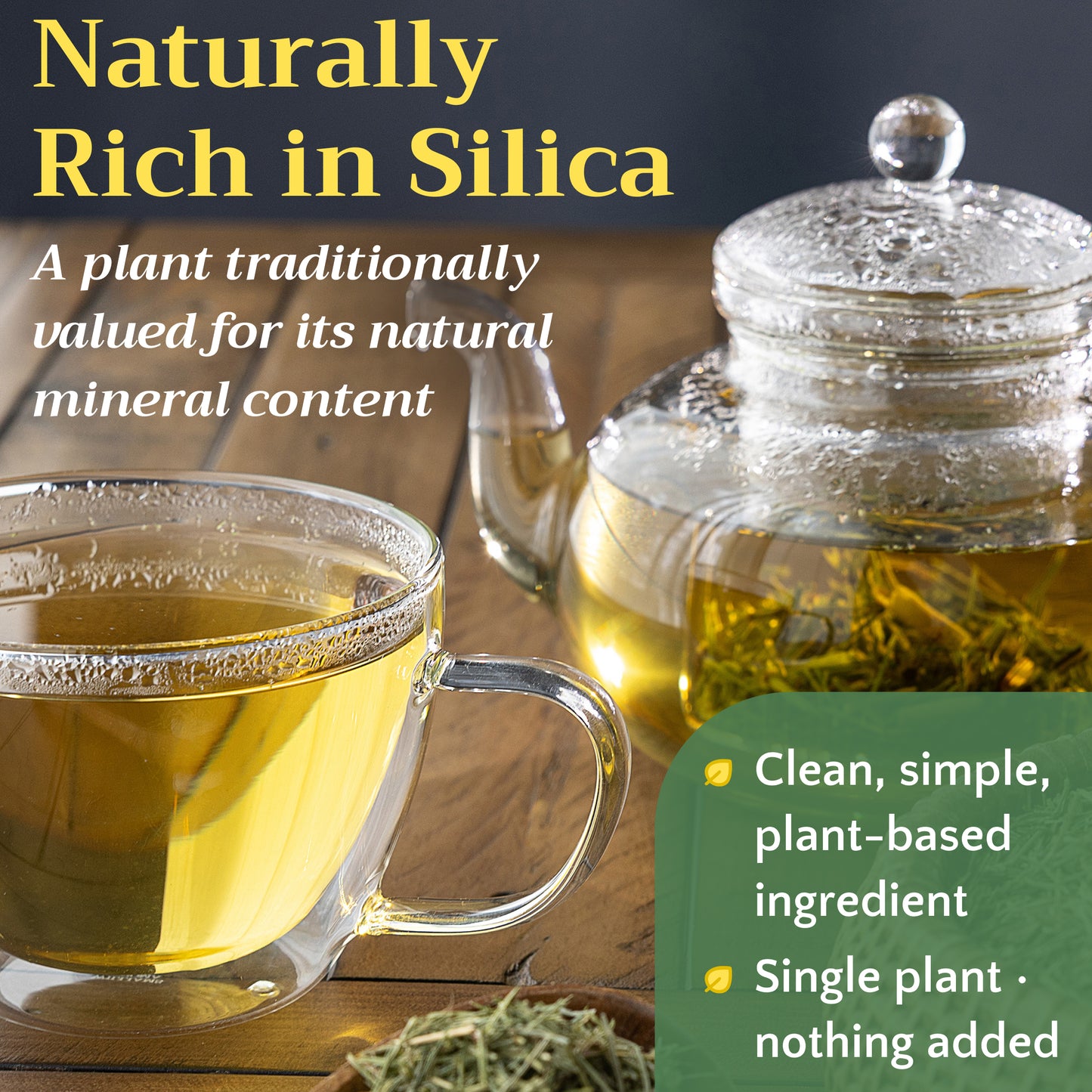 Horsetail Tea | Loose Leaf Herbal Tea | Equisetum arvense