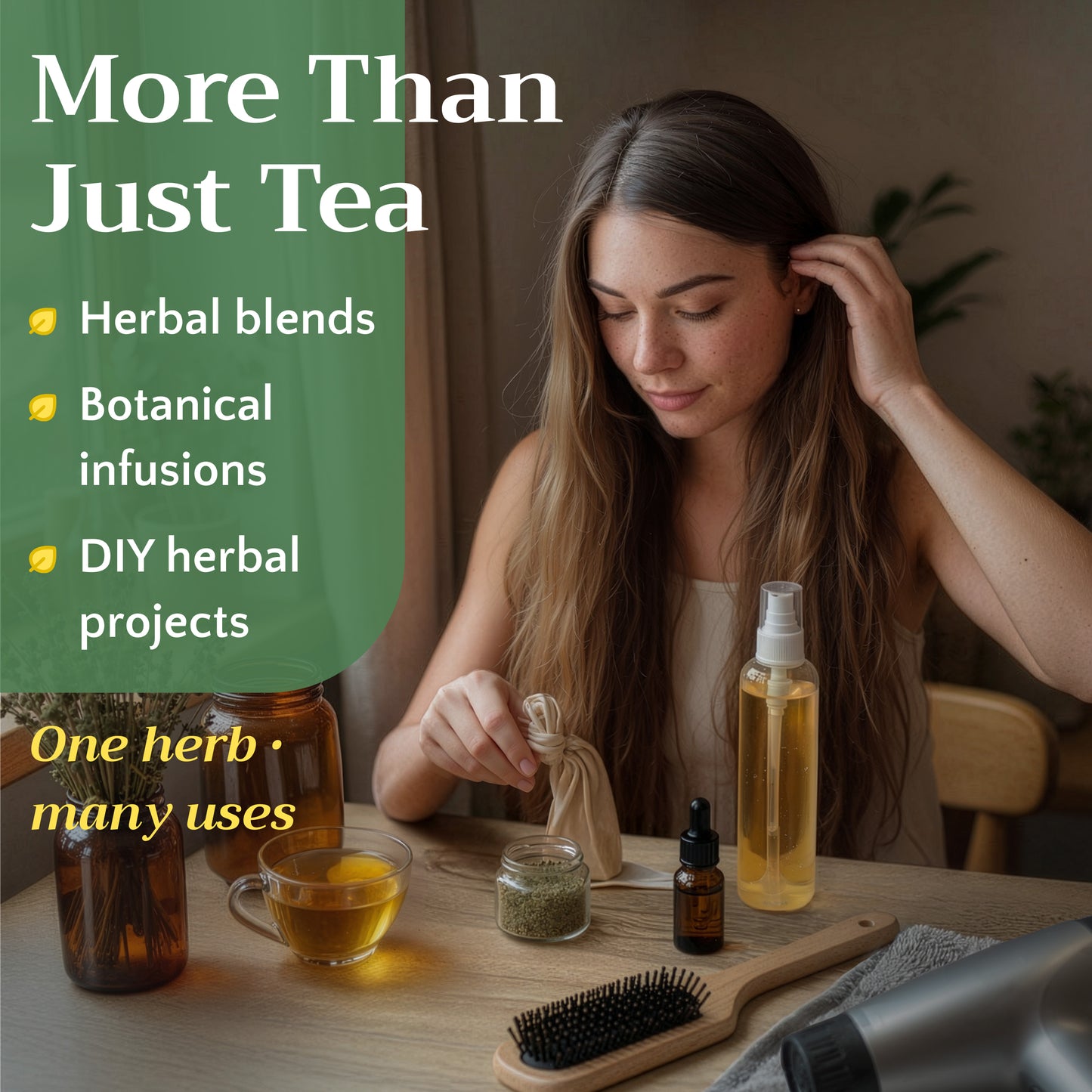 Horsetail Tea | Loose Leaf Herbal Tea | Equisetum arvense