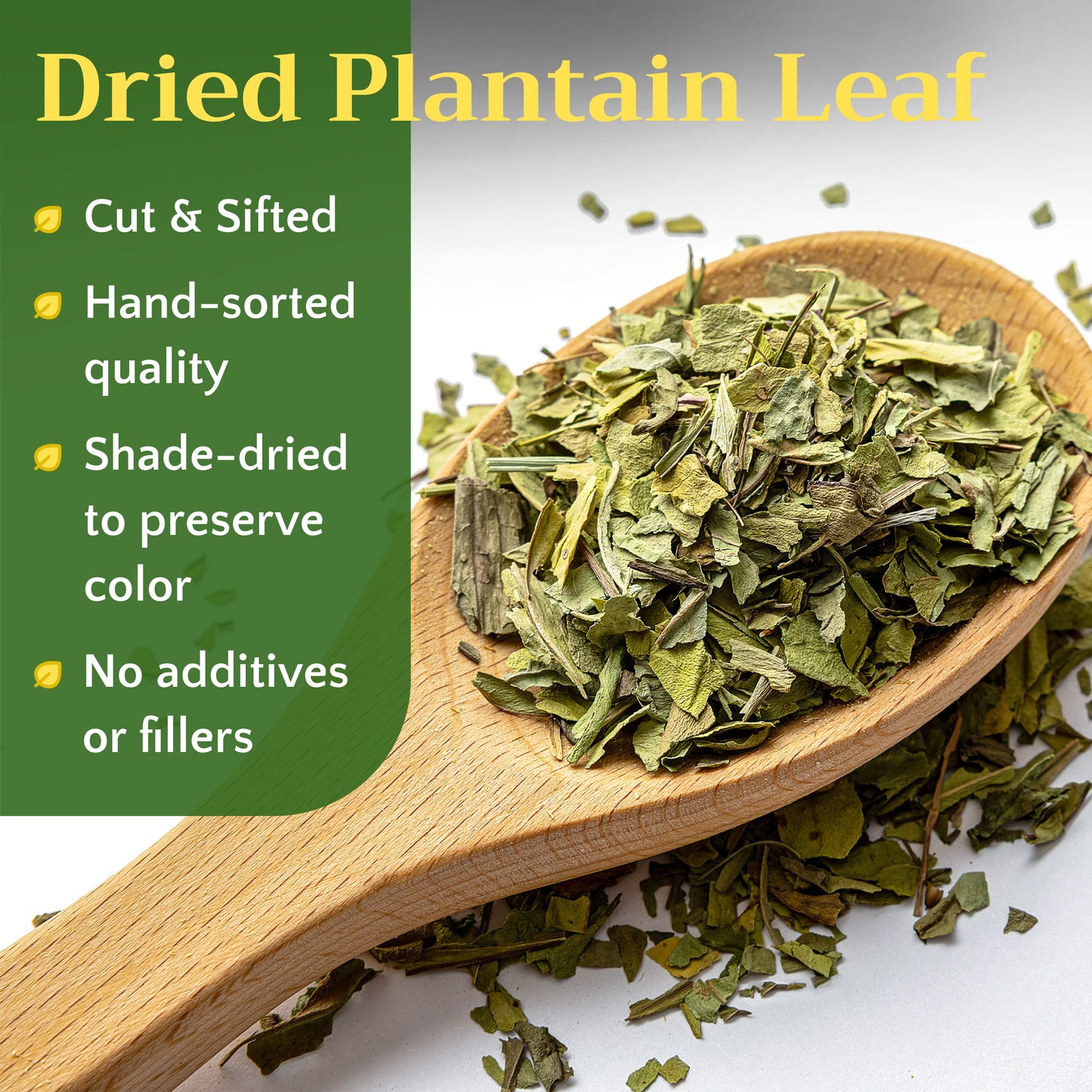 Plantain Leaf Tea | Loose Leaf Herbal Tea | Plantago major