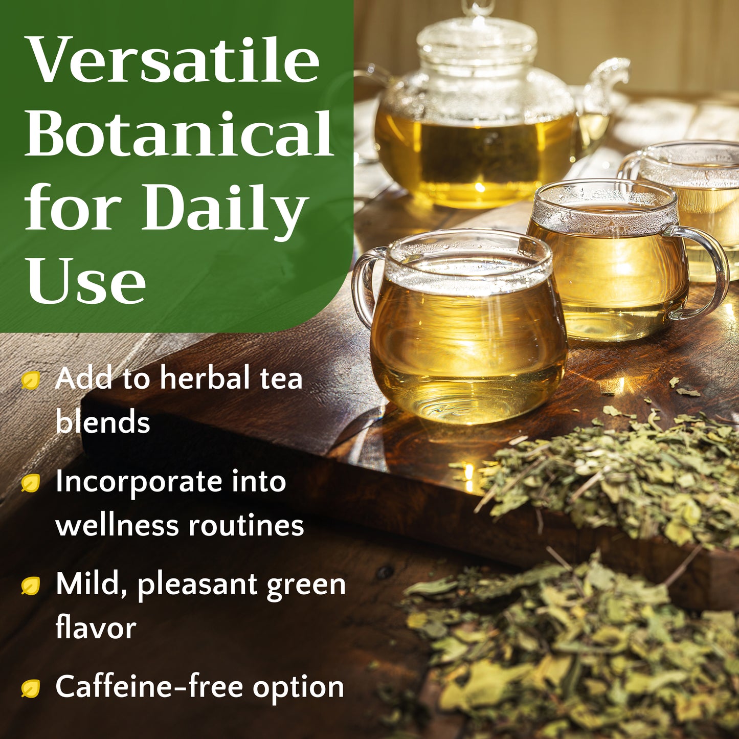 Plantain Leaf Tea | Loose Leaf Herbal Tea | Plantago major