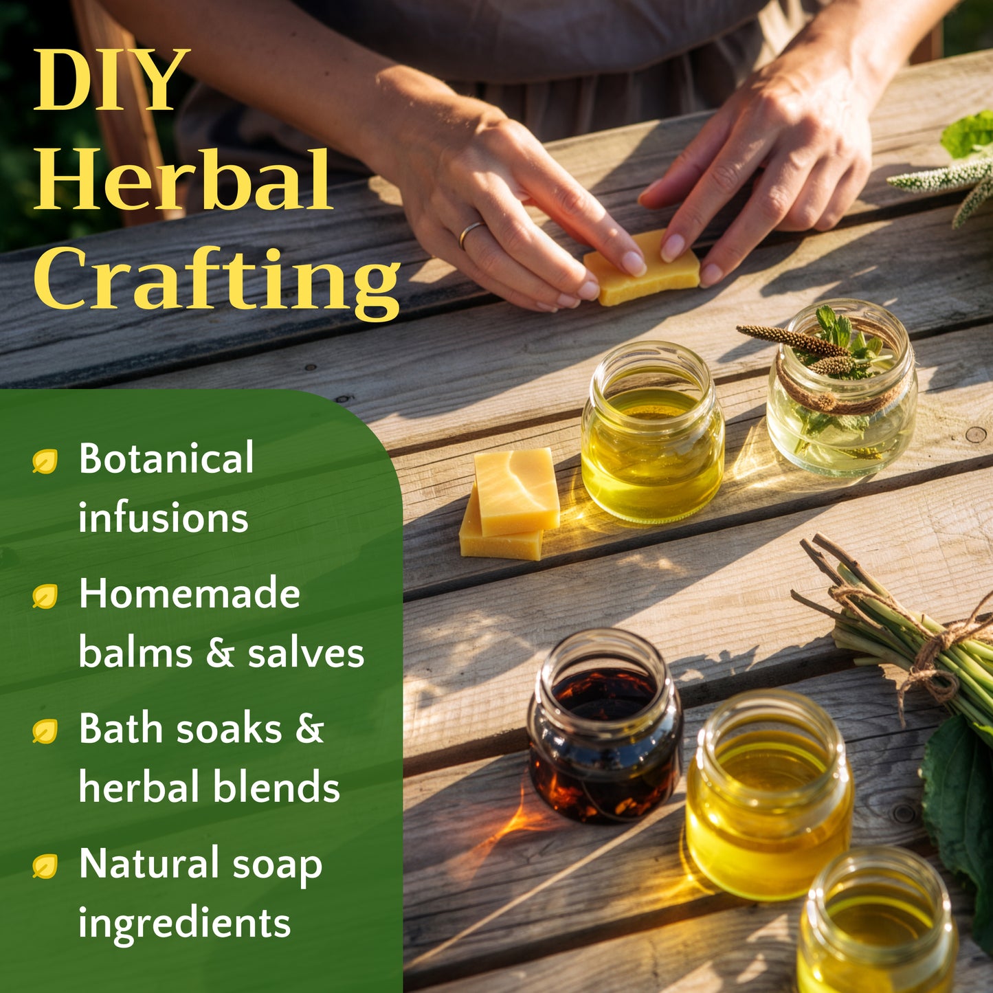 Plantain Leaf Tea | Loose Leaf Herbal Tea | Plantago major