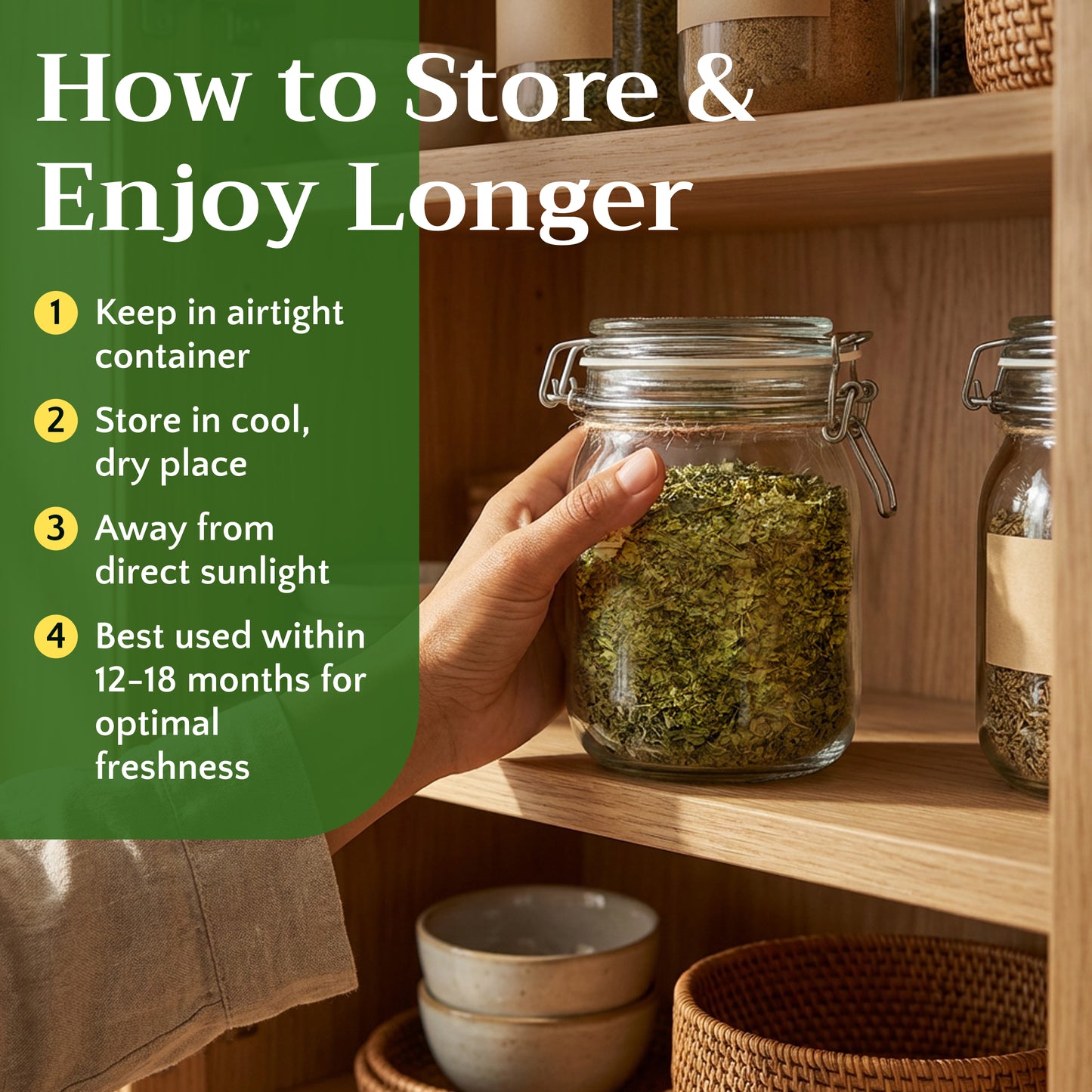 Plantain Leaf Tea | Loose Leaf Herbal Tea | Plantago major