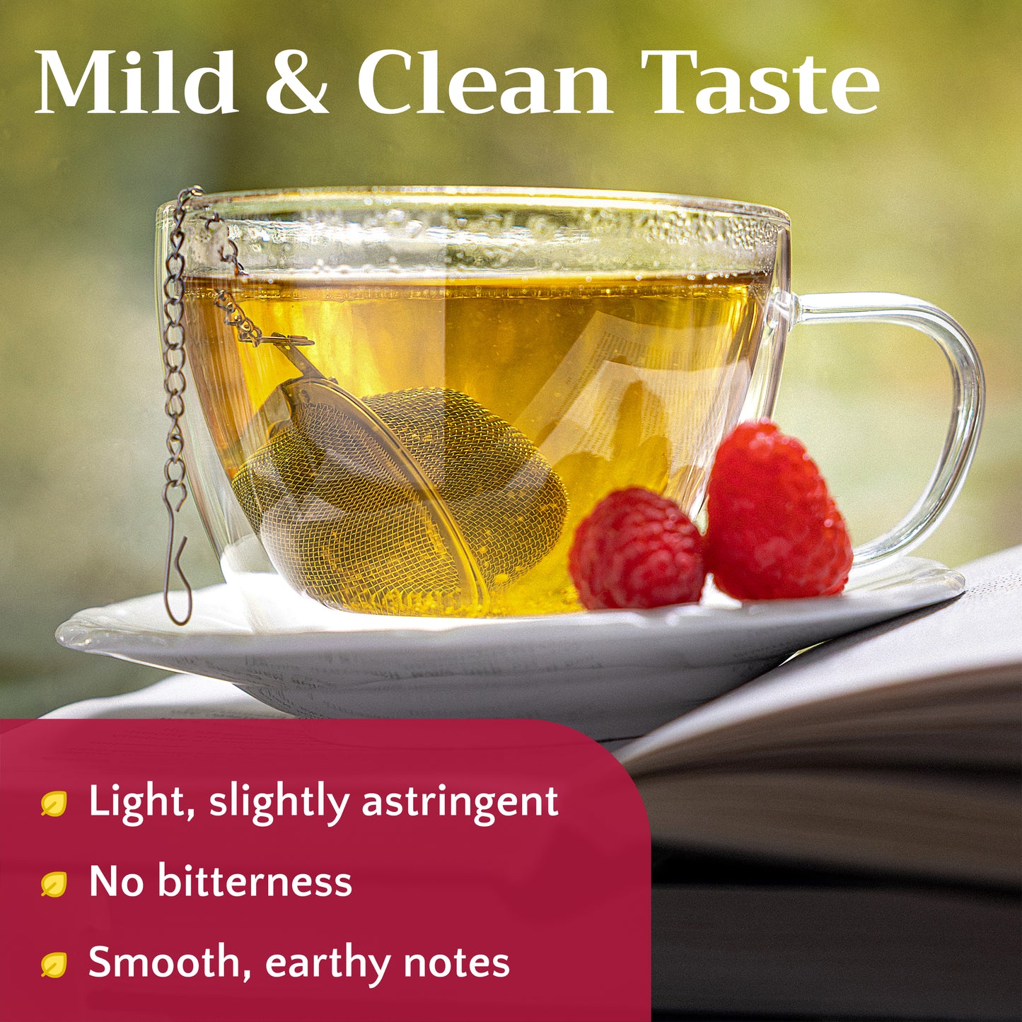 Raspberry Leaf Tea | Loose Leaf Herbal Tea | Rubus idaeus