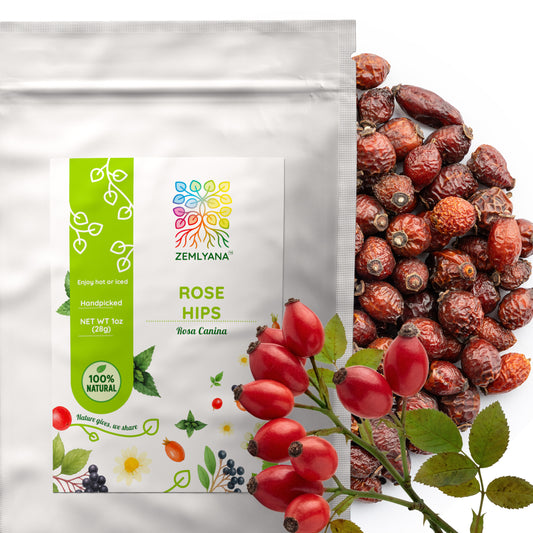 Rose Hips Tea | Dried Rosehips | Rosa canina
