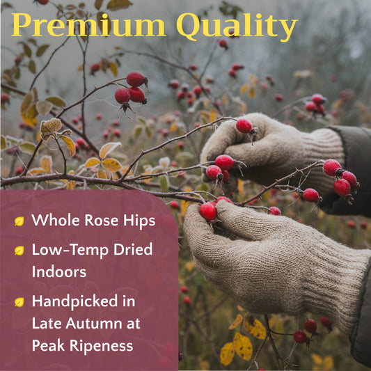 Rose Hips Tea | Dried Rosehips | Rosa canina