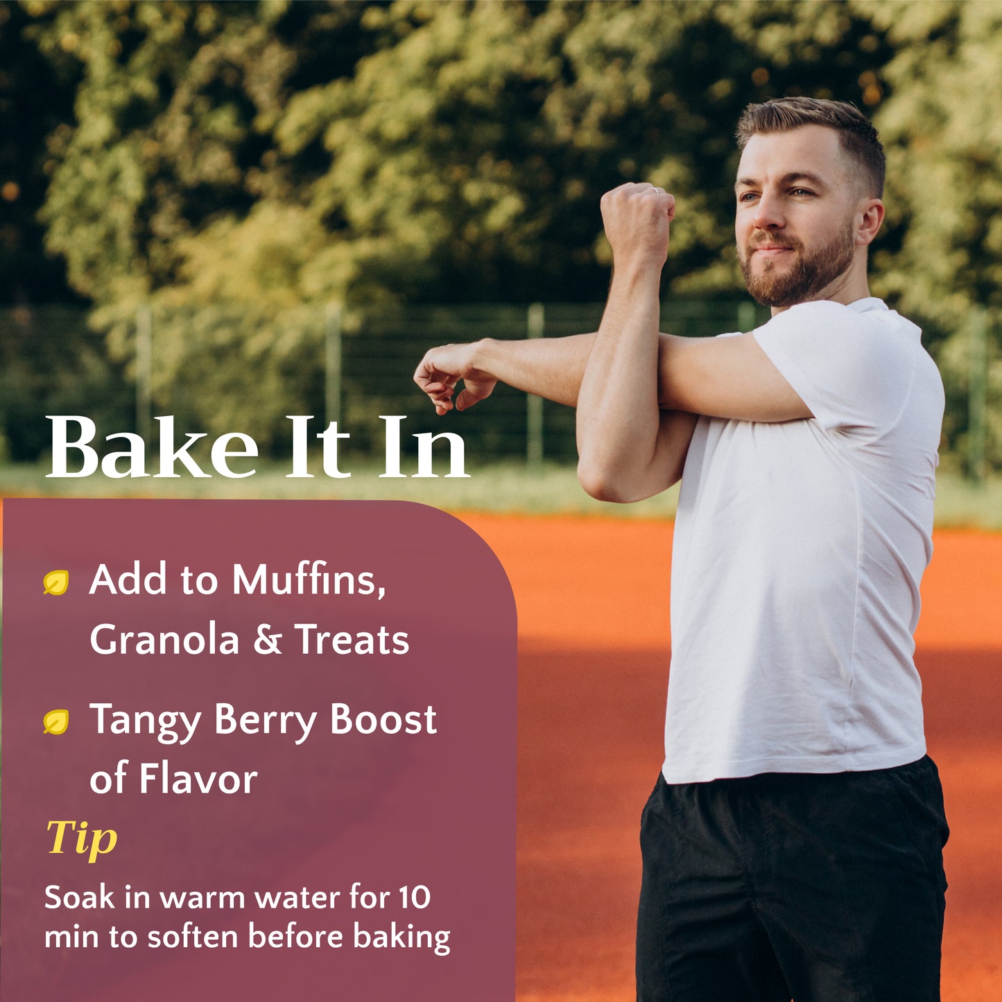 Rose Hips Tea | Dried Rosehips | Rosa canina