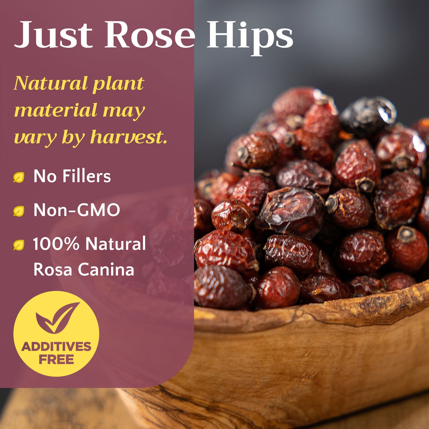 Rose Hips Tea | Dried Rosehips | Rosa canina