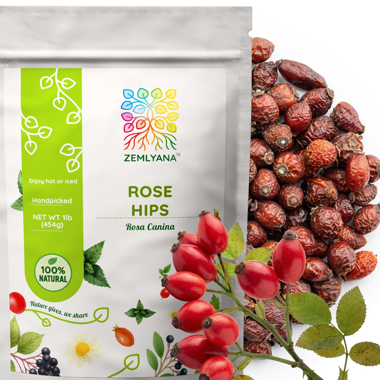 Rose Hips Tea | Dried Rosehips | Rosa canina