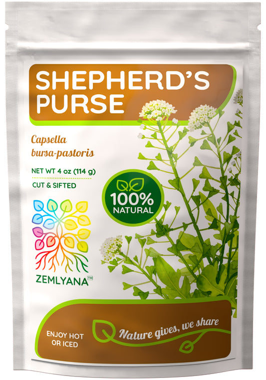 Shepherd's Purse Tea | Loose Leaf Herbal Tea | Capsella bursa-pastoris