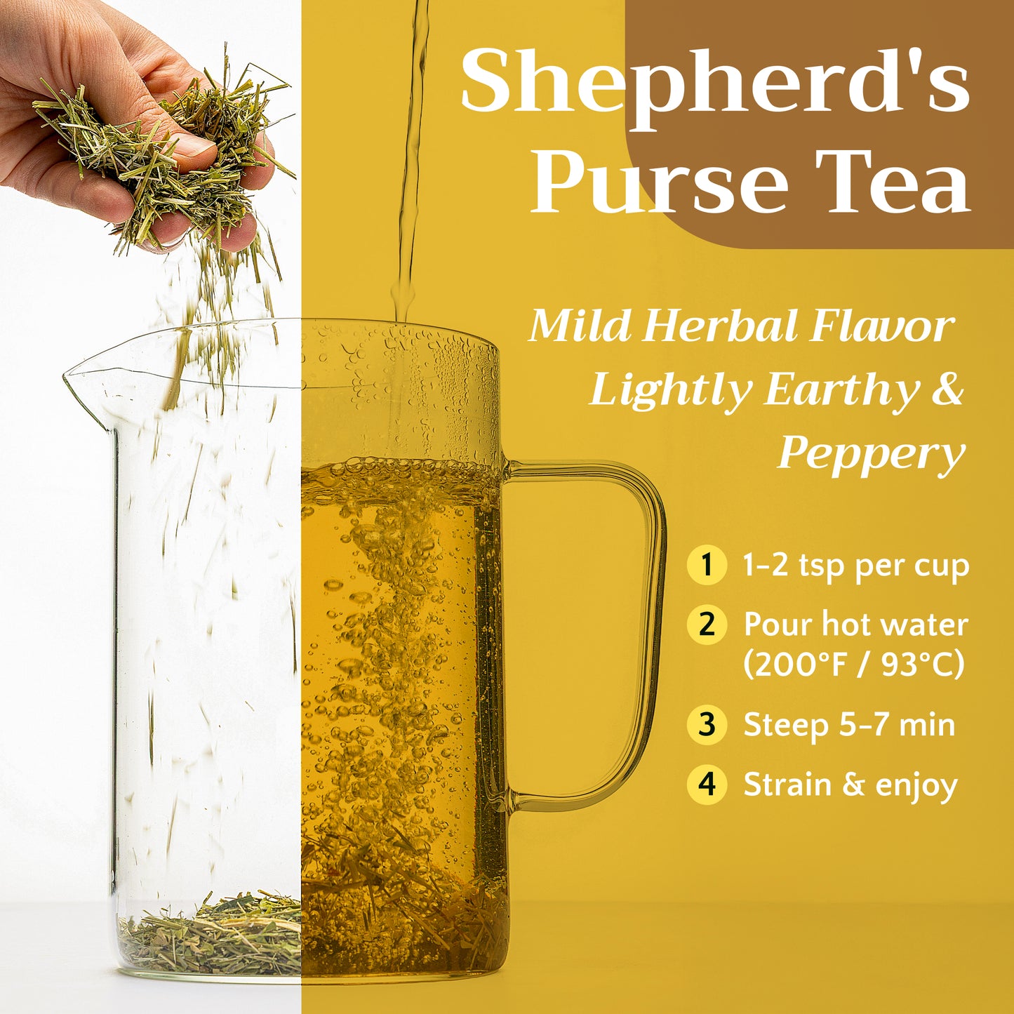 Shepherd's Purse Tea | Loose Leaf Herbal Tea | Capsella bursa-pastoris