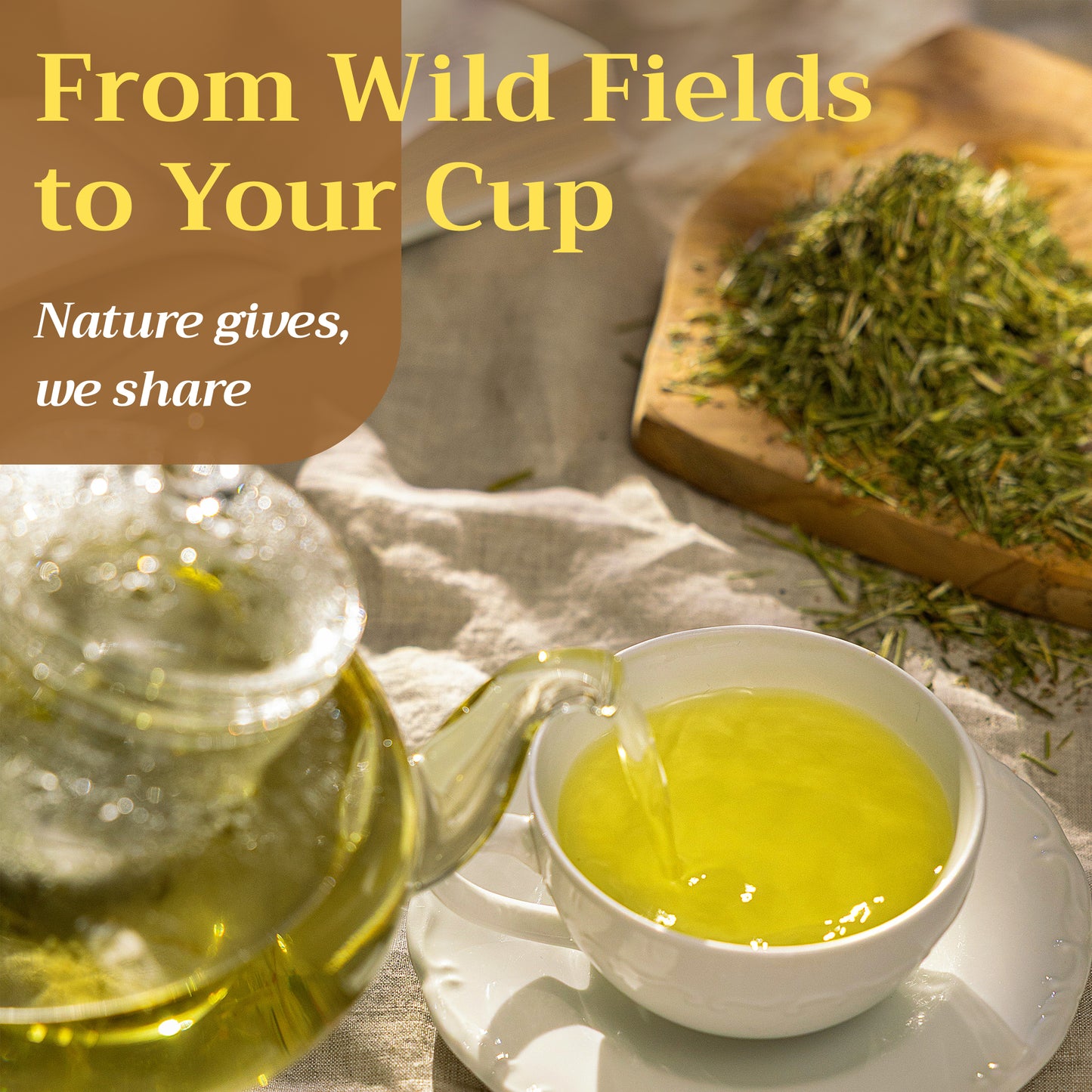 Shepherd's Purse Tea | Loose Leaf Herbal Tea | Capsella bursa-pastoris