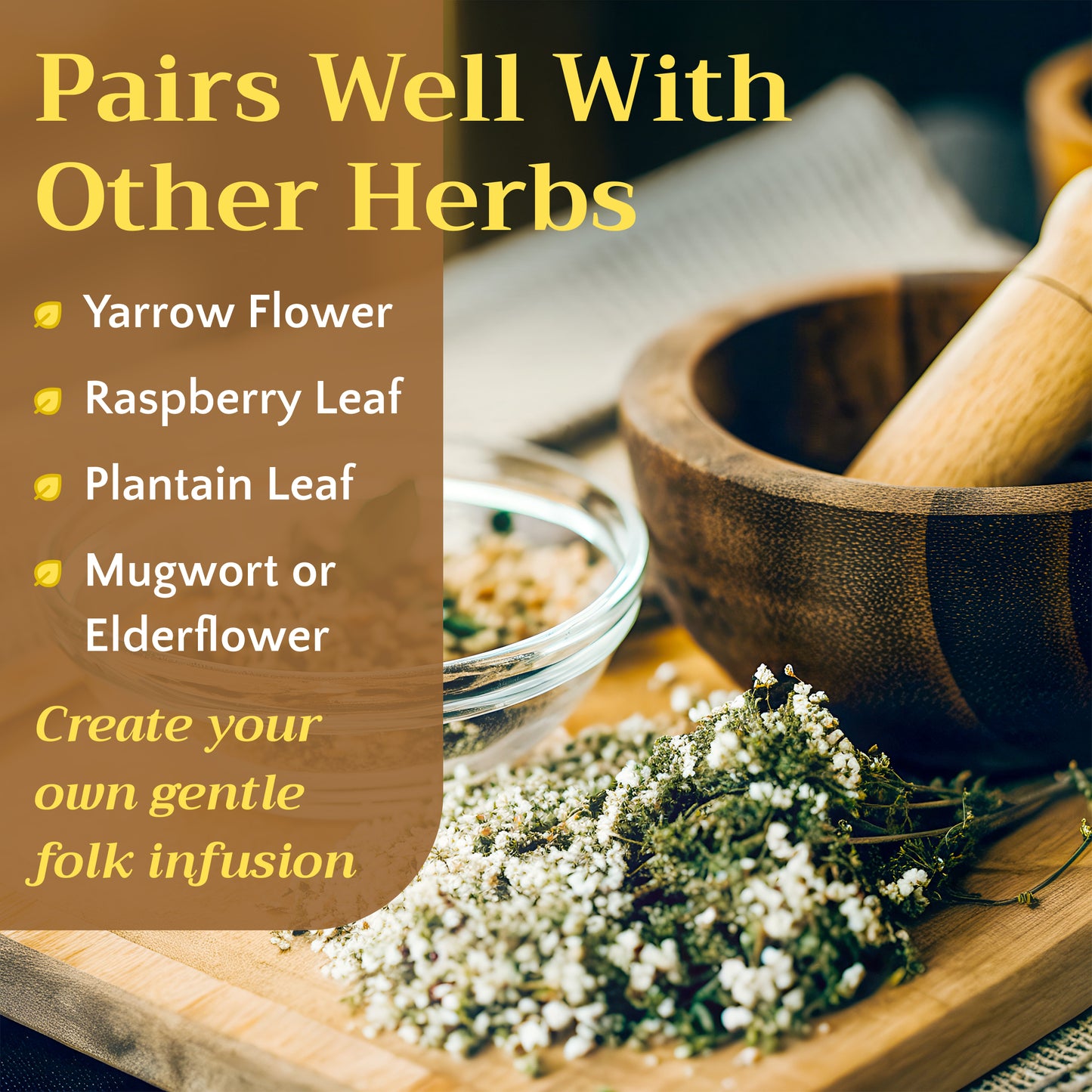 Shepherd's Purse Tea | Loose Leaf Herbal Tea | Capsella bursa-pastoris