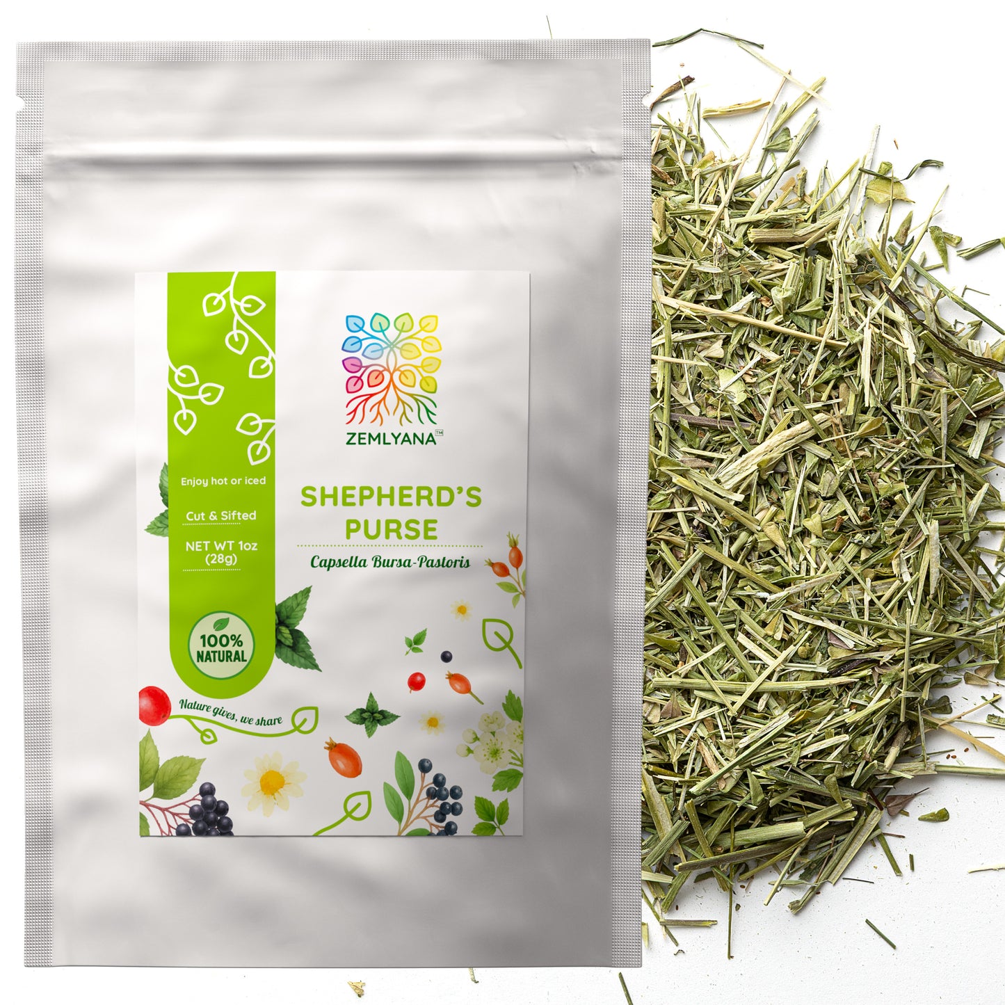 Shepherd's Purse Tea | Loose Leaf Herbal Tea | Capsella bursa-pastoris