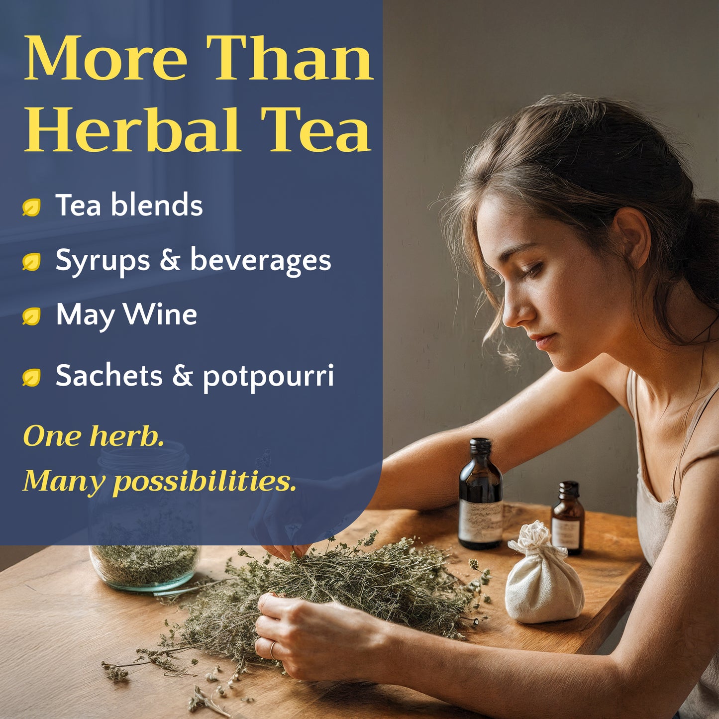 Sweet Woodruff Tea | Loose Leaf Herbal Tea | Galium odoratum Bulk
