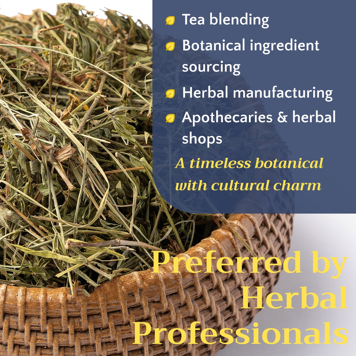 Sweet Woodruff Tea | Loose Leaf Herbal Tea | Galium odoratum Bulk